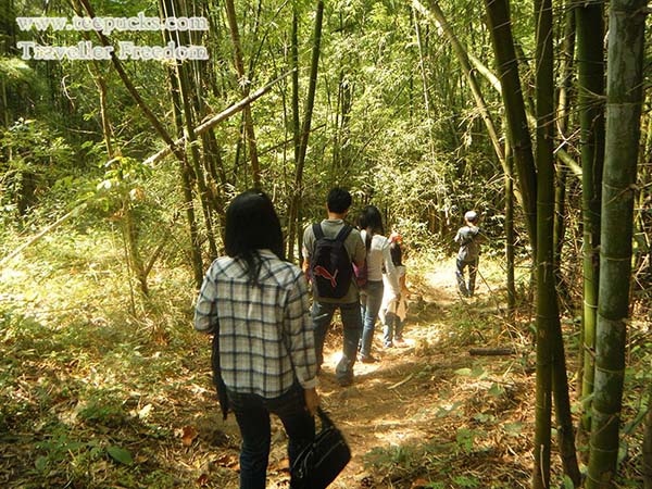 อุทยานแห่งชาติภูผาม่าน